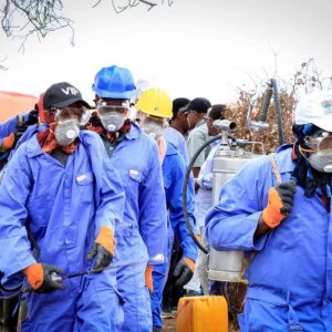SONUH, Ministry of Health and Social Welfare of the Government of Somalia and W.H.O is participating in the campaign of spraying insects in the IDP camps in the city of Baidoa, the transitional center of the Government of South West Somalia.